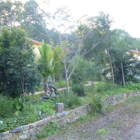 Teretre Cabins Nimbin Villa Ngoại thất bức ảnh