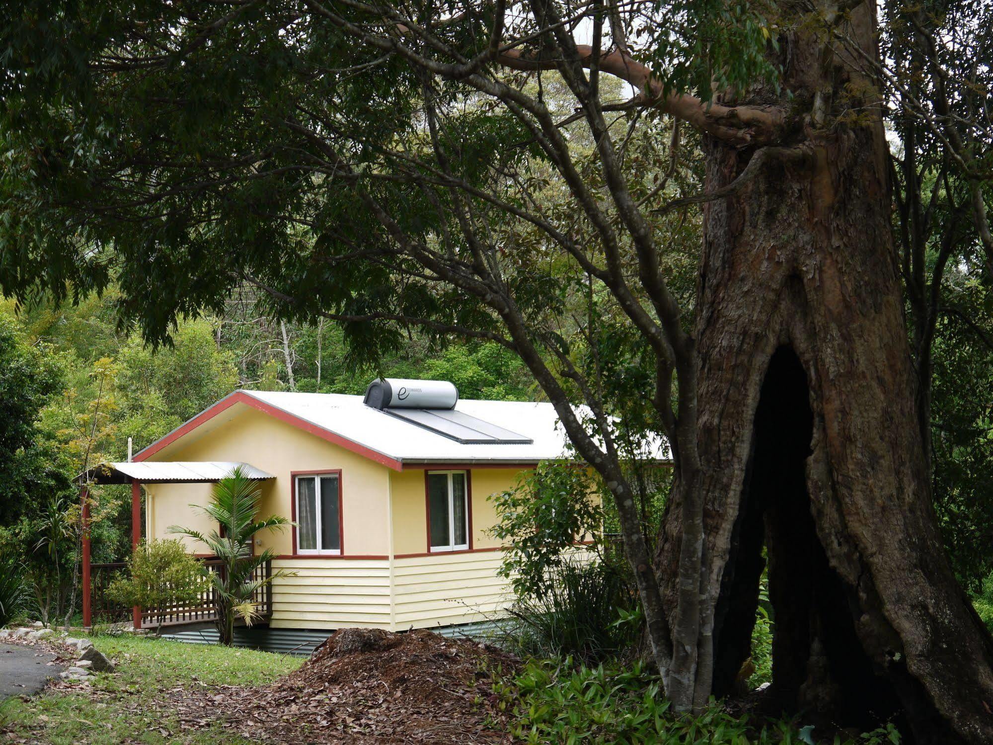 Teretre Cabins Nimbin Villa Ngoại thất bức ảnh